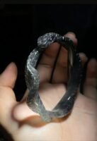 The origin of the lotus