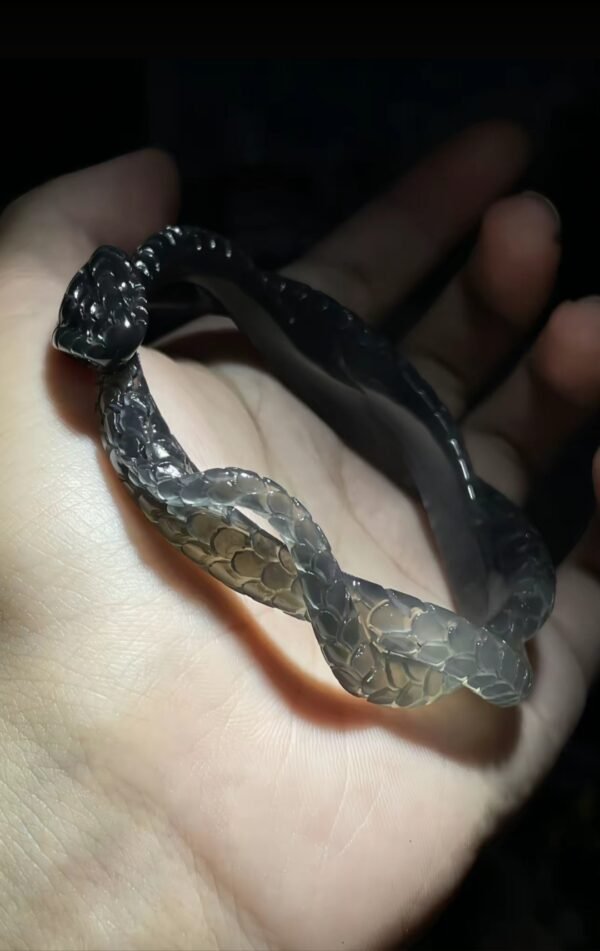 The origin of the lotus