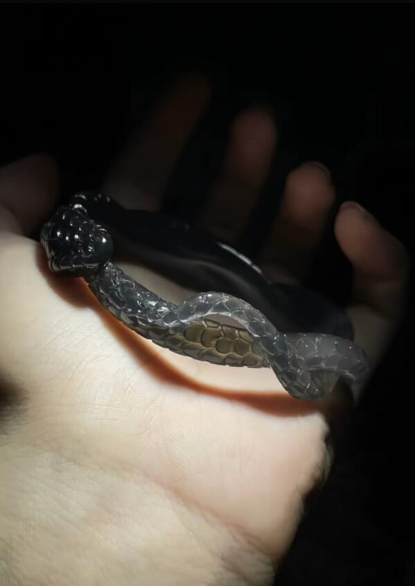 The origin of the lotus